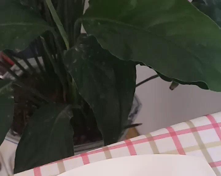 奶香老式面包的做法