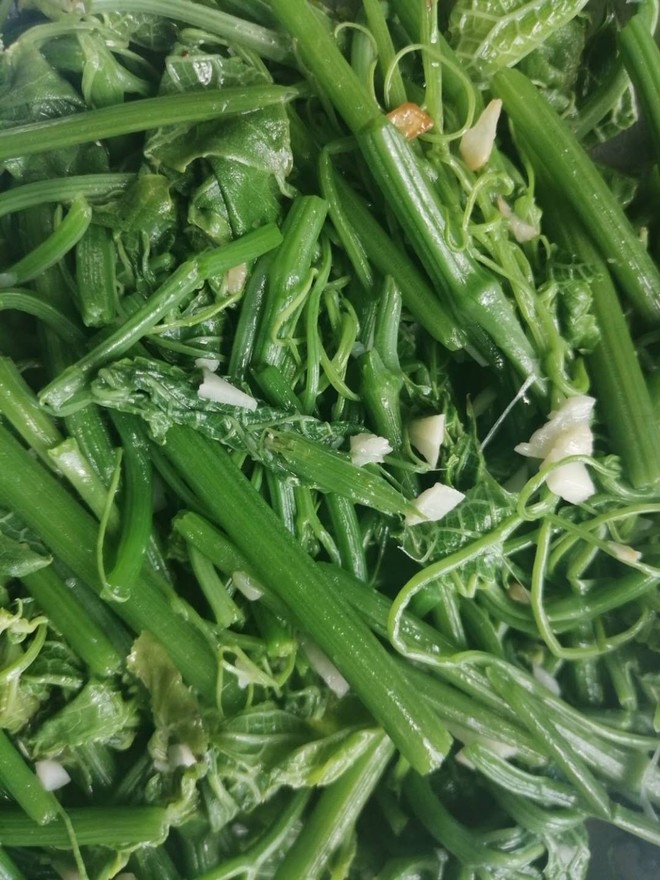 蒜蓉龙须菜的做法步骤图 蒜蓉龙须菜怎么做好吃 6310琦 下厨房 蒜蓉龙须菜的做法步骤图 蒜蓉龙须菜怎么做好吃 6310琦 下厨房