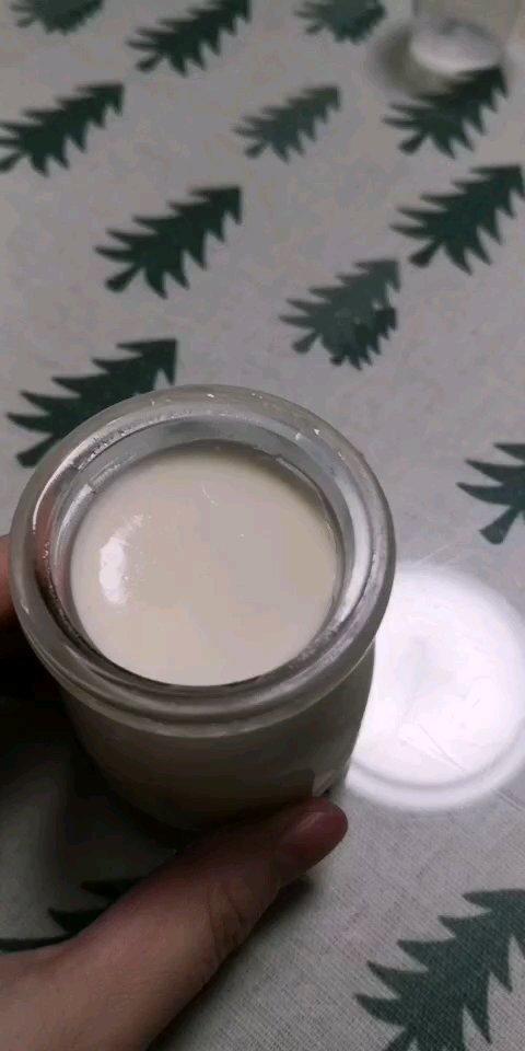 超好吃挂杯不倒“老酸奶”-新手零难度