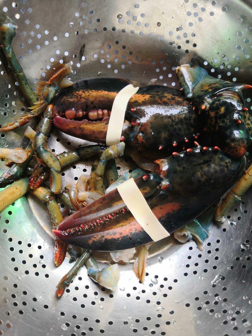 波士顿龙虾-一虾三吃
