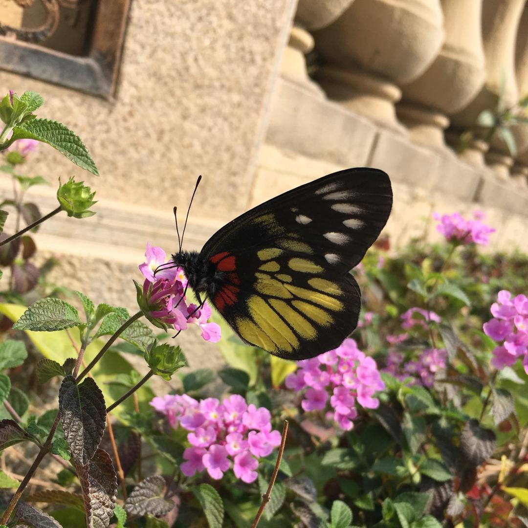 手机用户7655_5abv