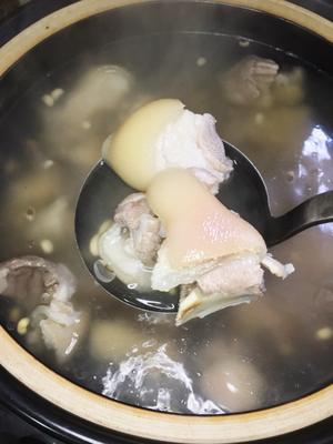 养生系·白饭豆猪手汤的做法 步骤8