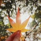 我是吴丑丑