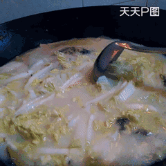 白菜豆腐鲫鱼汤