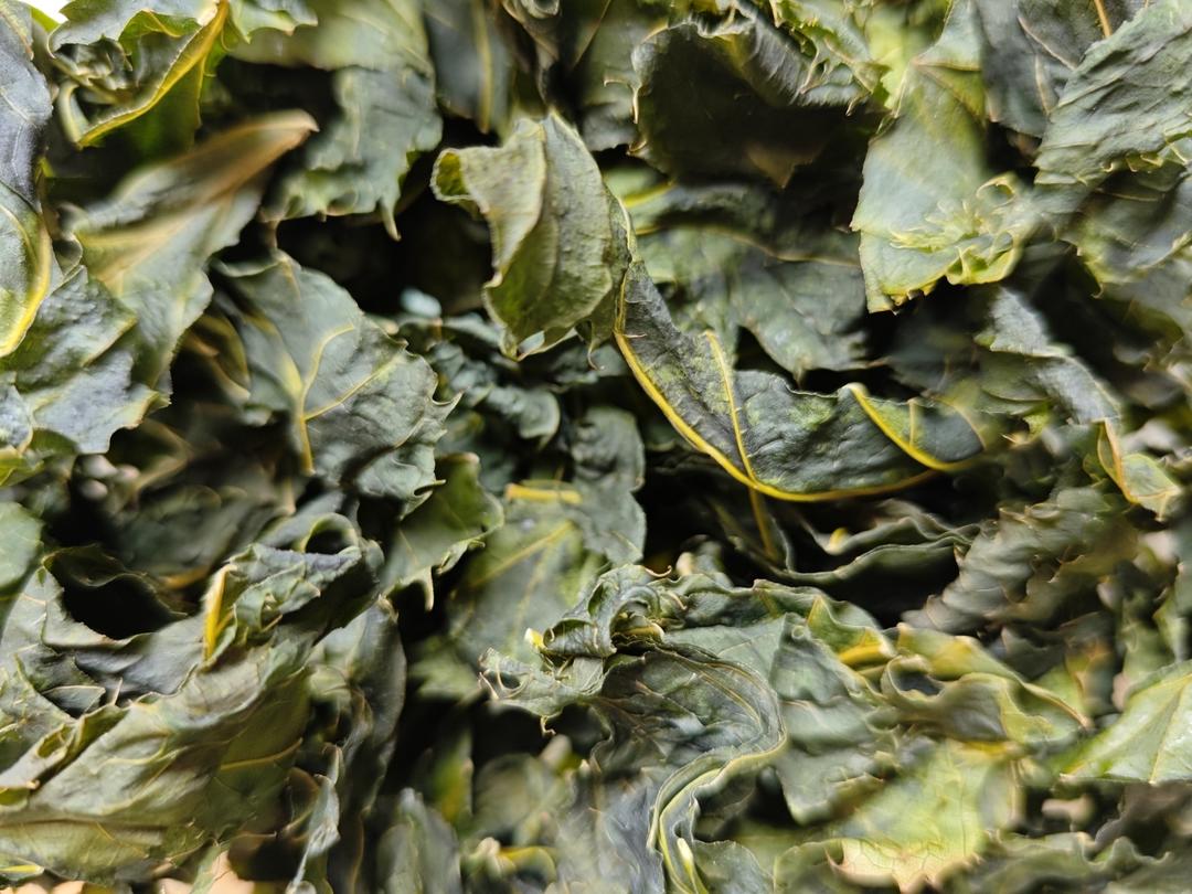 纯人手工桑叶茶