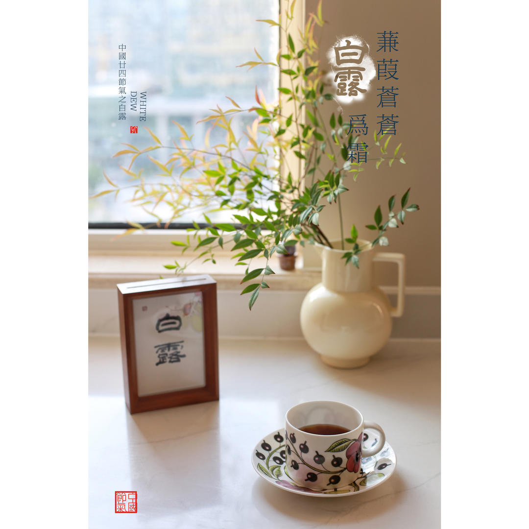 🍀岁月静好🌿