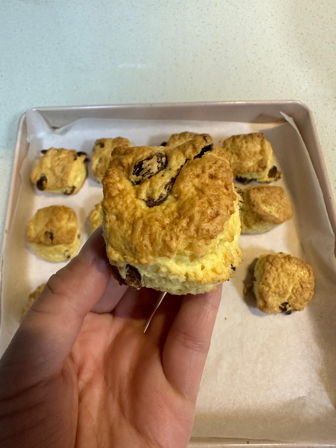 英女皇私人御厨的司康食谱