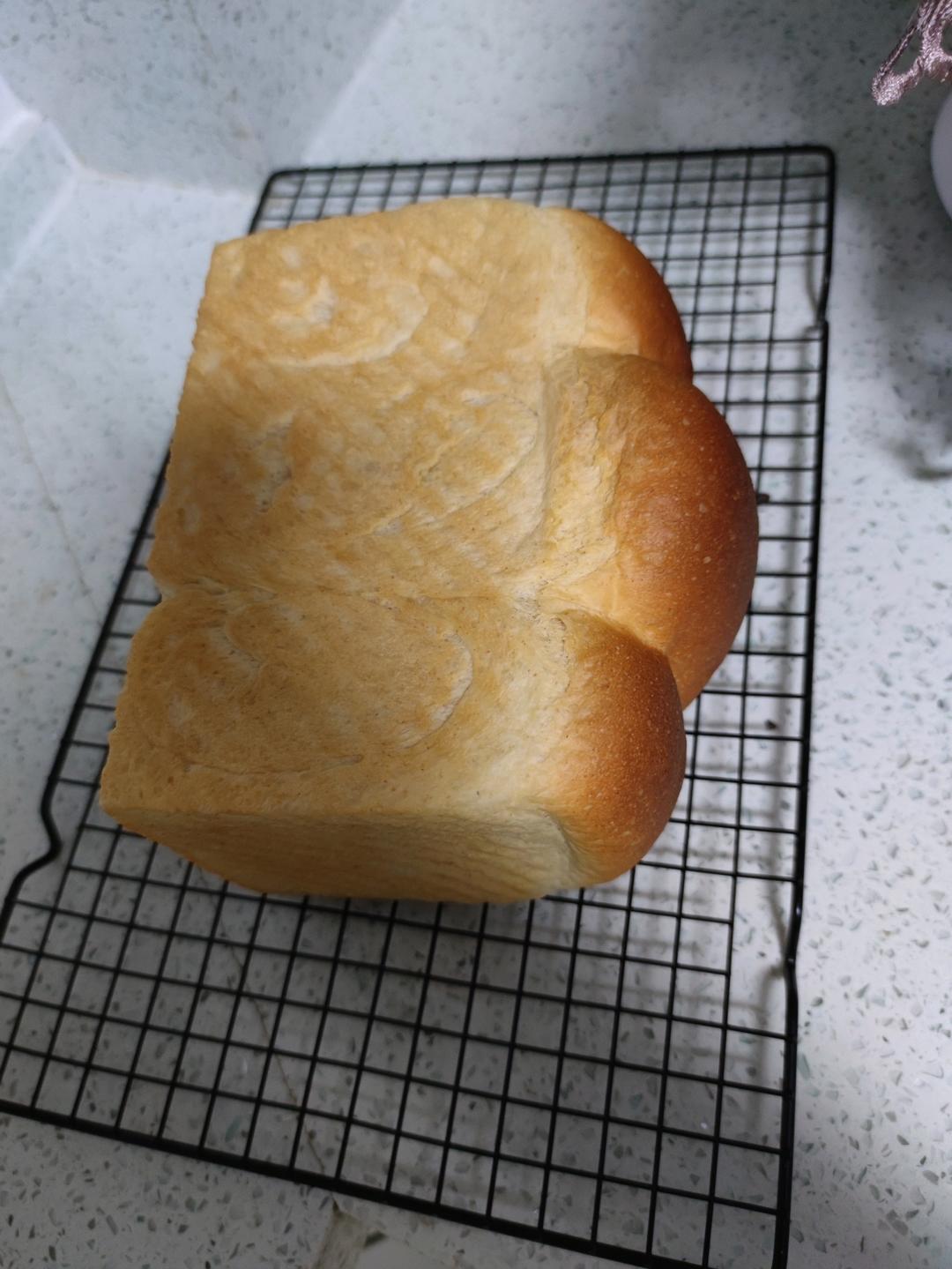 软到不知所措的牛奶卷