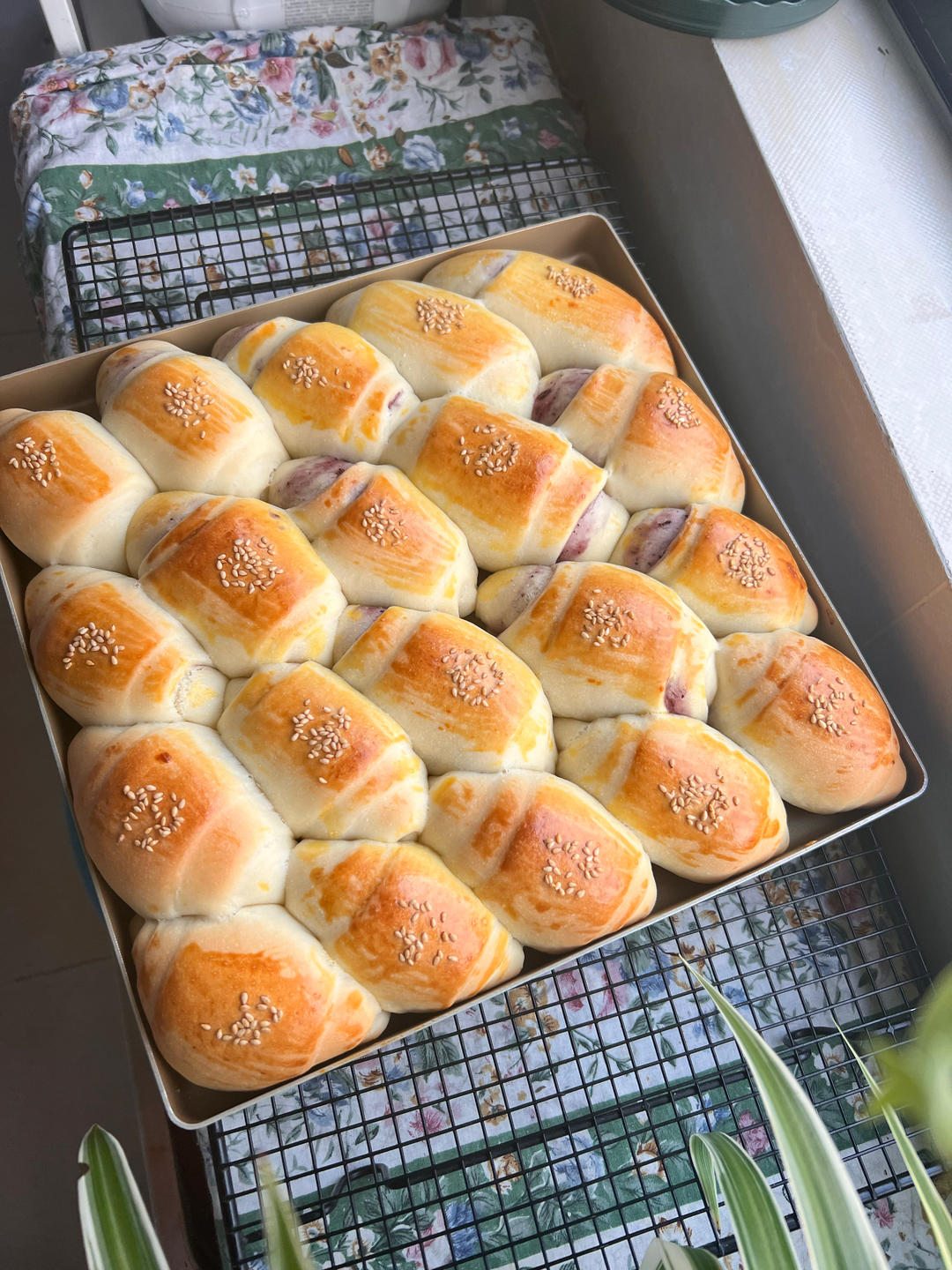 牛奶面包卷（直接法）