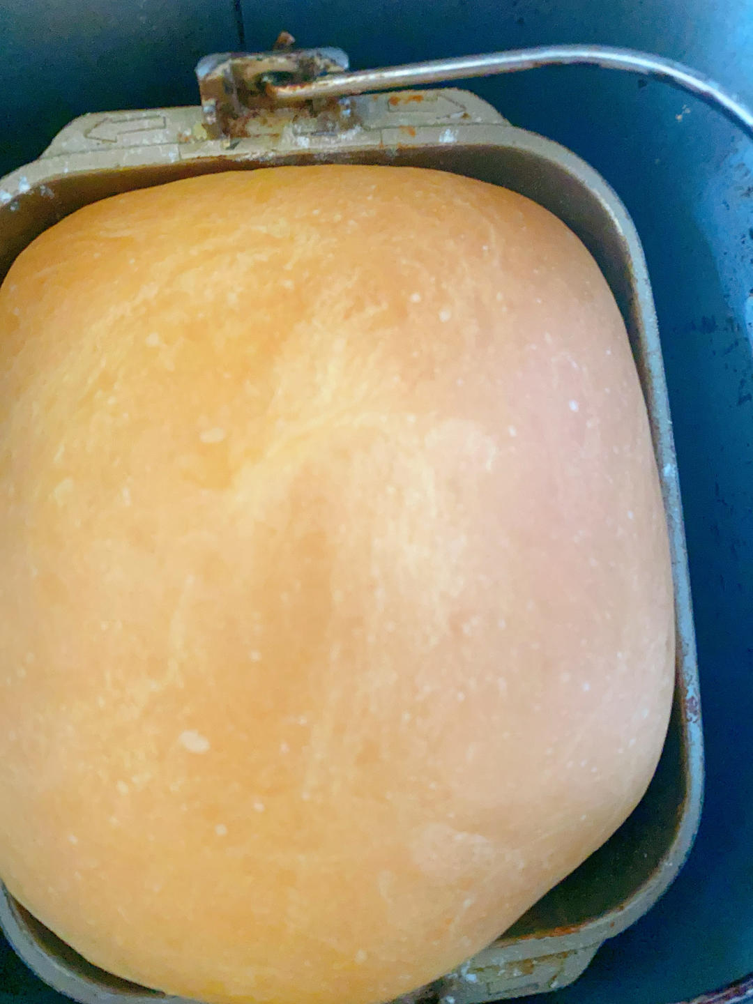 提子土司（柏翠面包机PE6280）自用方子