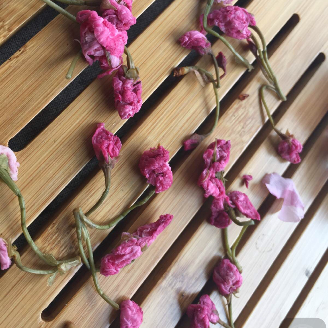 盐渍樱花樱叶~历经惨痛教训，无私经验分享