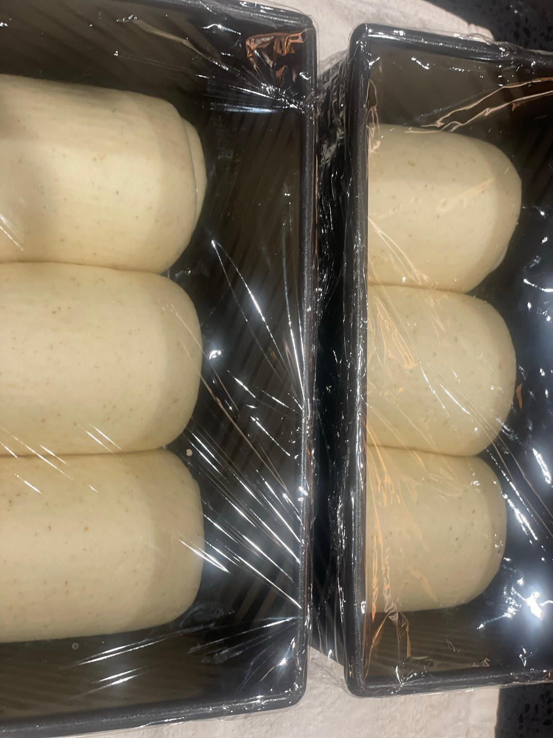 柔软拉丝的100%全麦麦片吐司（一次发酵）