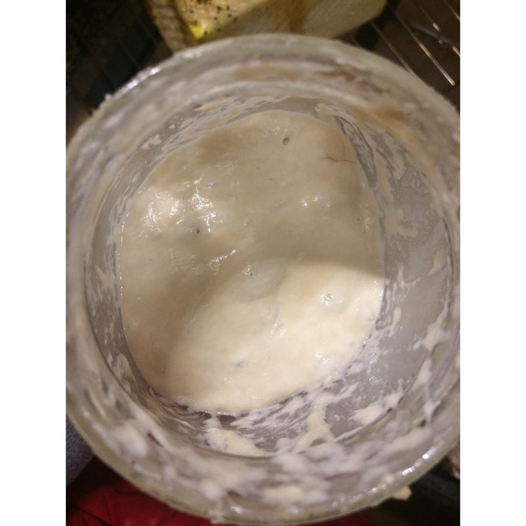 葡萄干天然酵母 到 面包 出炉… 感觉很好玩我要学！枫糖小哥版