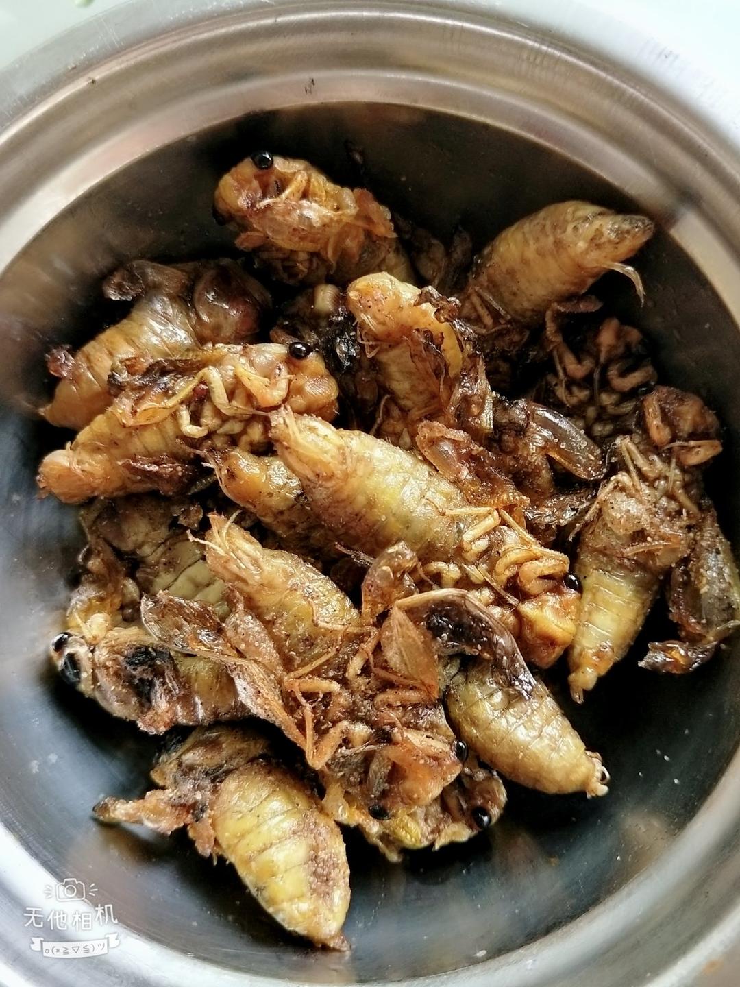 油炸金蝉