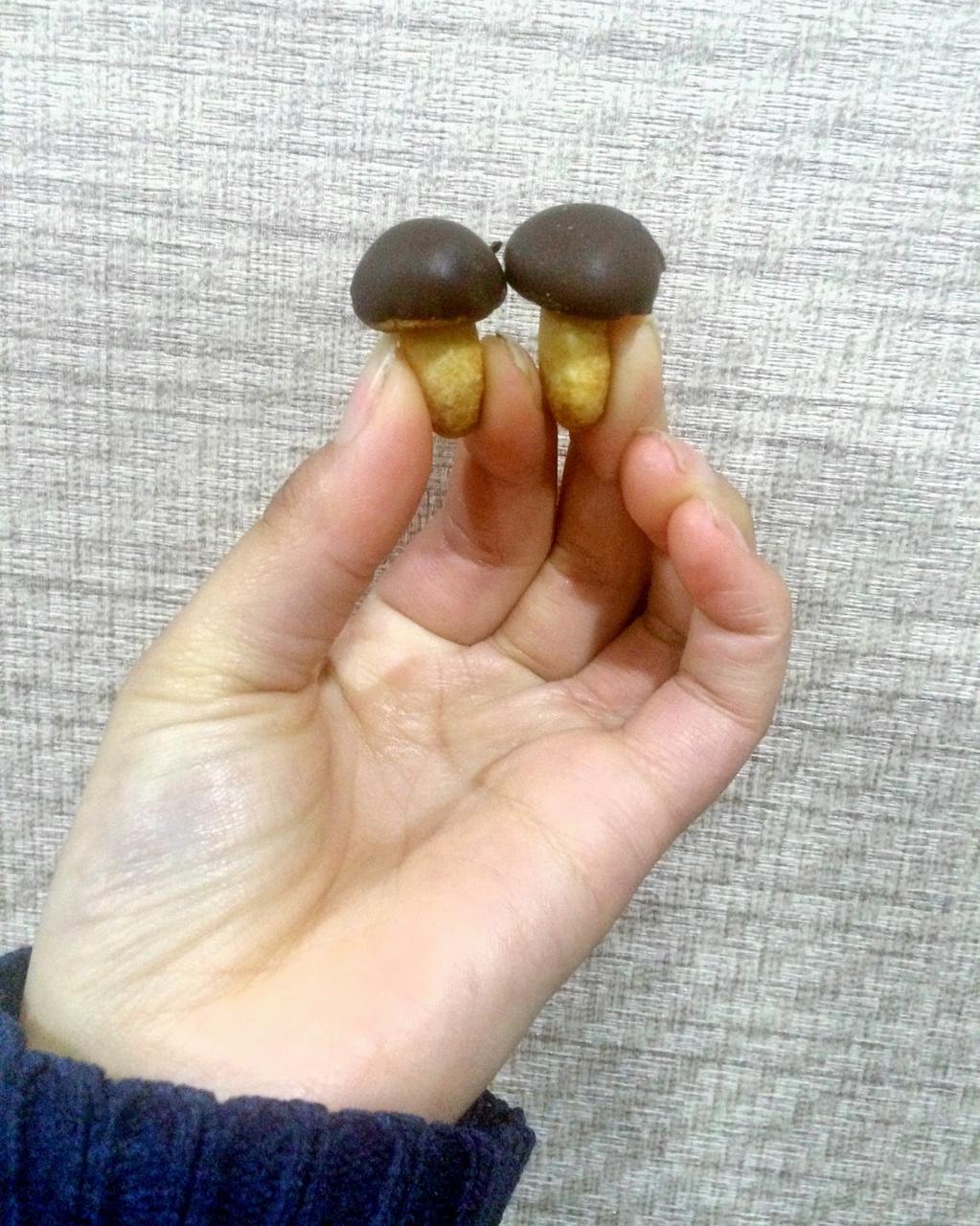 蘑菇力饼干