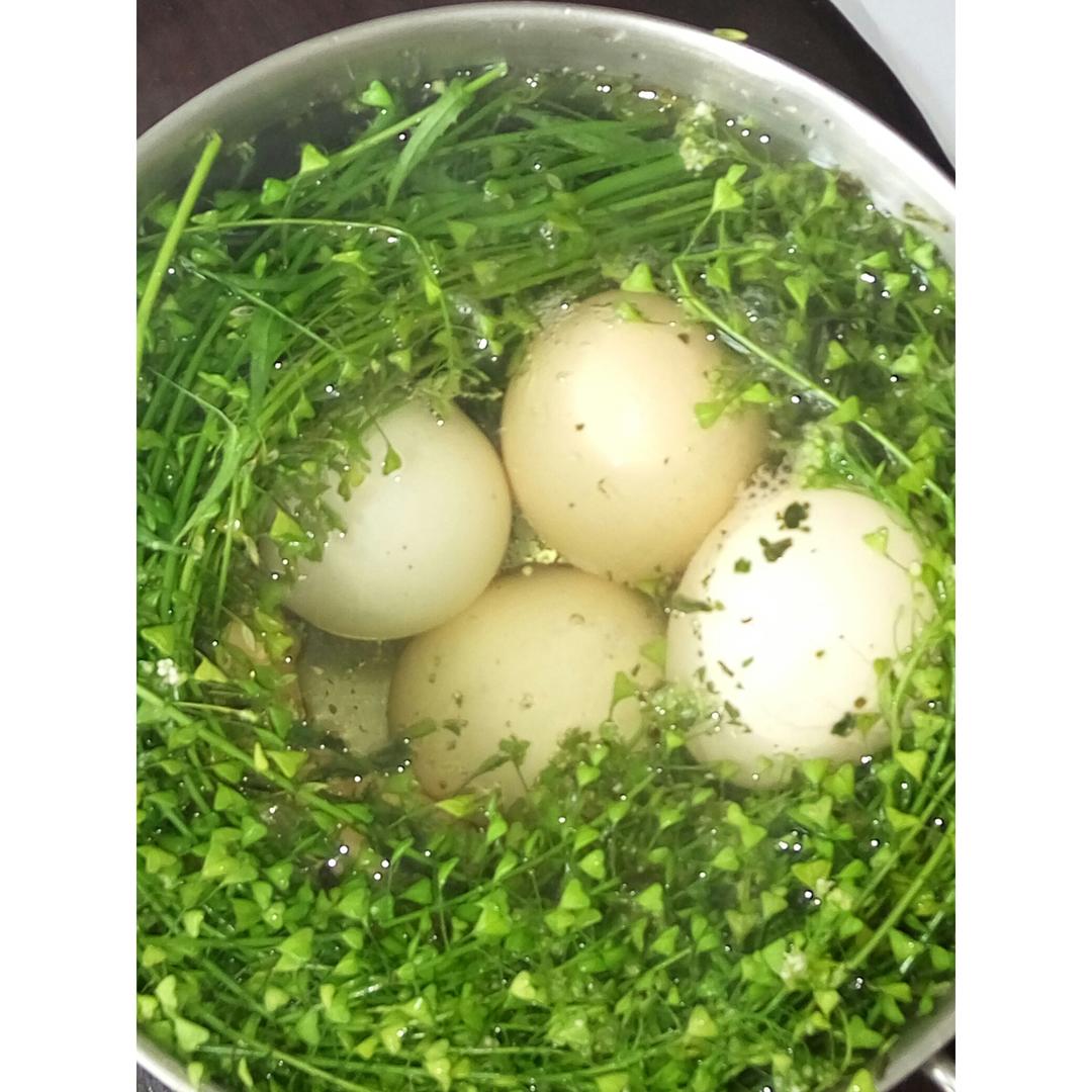 地菜花煮鸡蛋