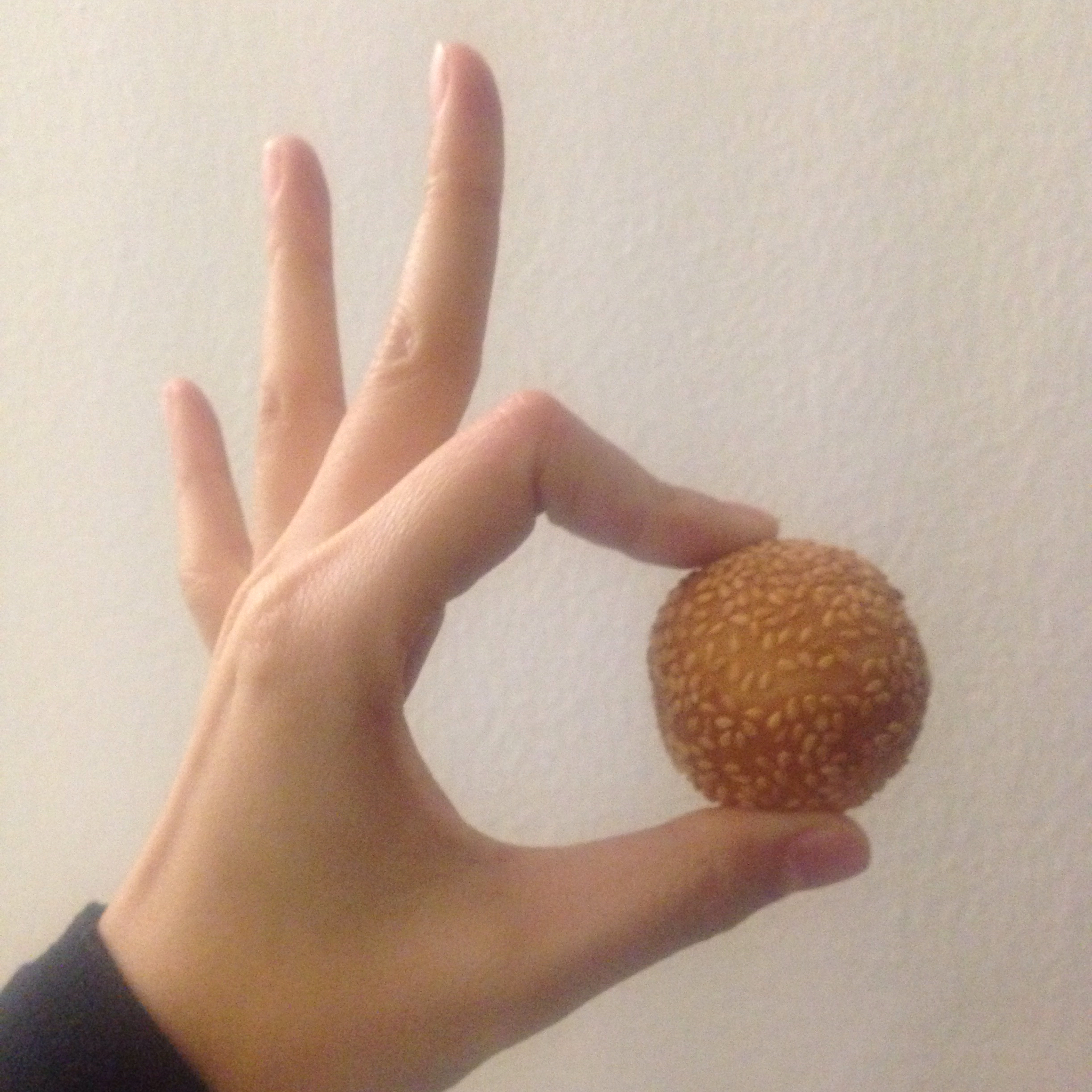空心麻球