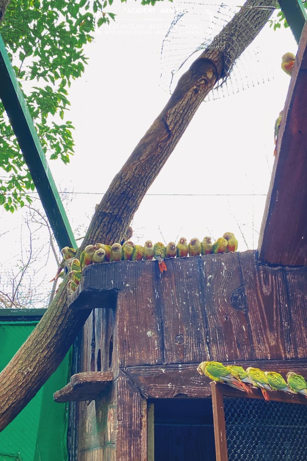 下厨房用户_ert9e