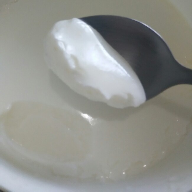 小熊酸奶机自制酸奶