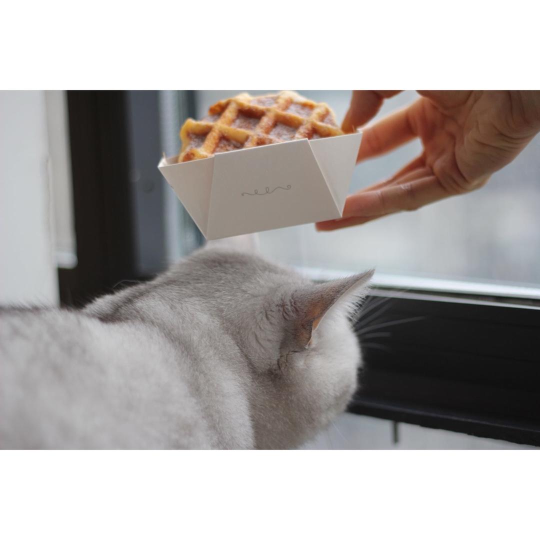 低油低糖黄豆黑糖麻薯华夫饼【健康小食】