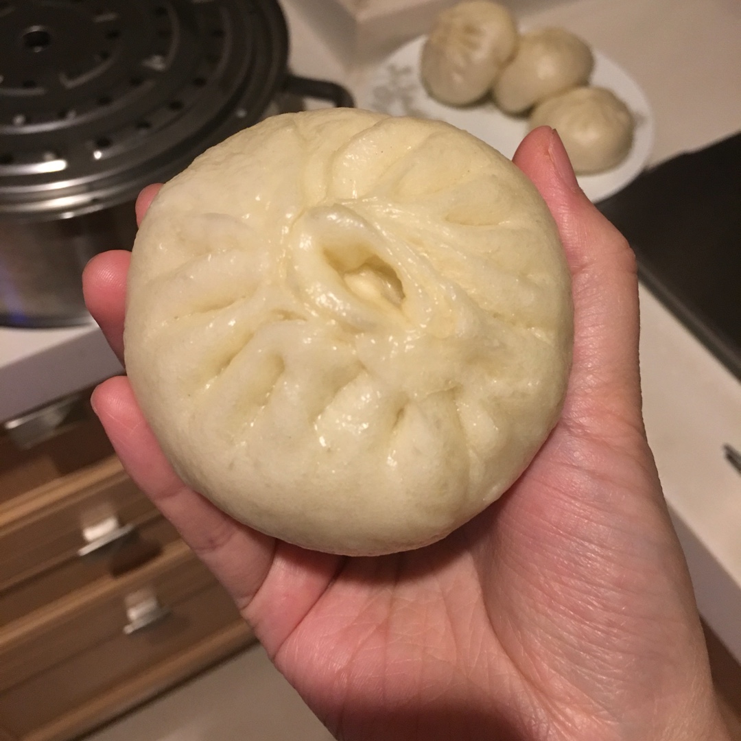 手机用户8230_z8s1做的家庭手工肉馅大包子