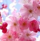 流光溢彩-交相辉映