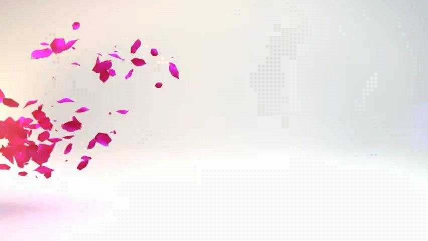 素炒茄子