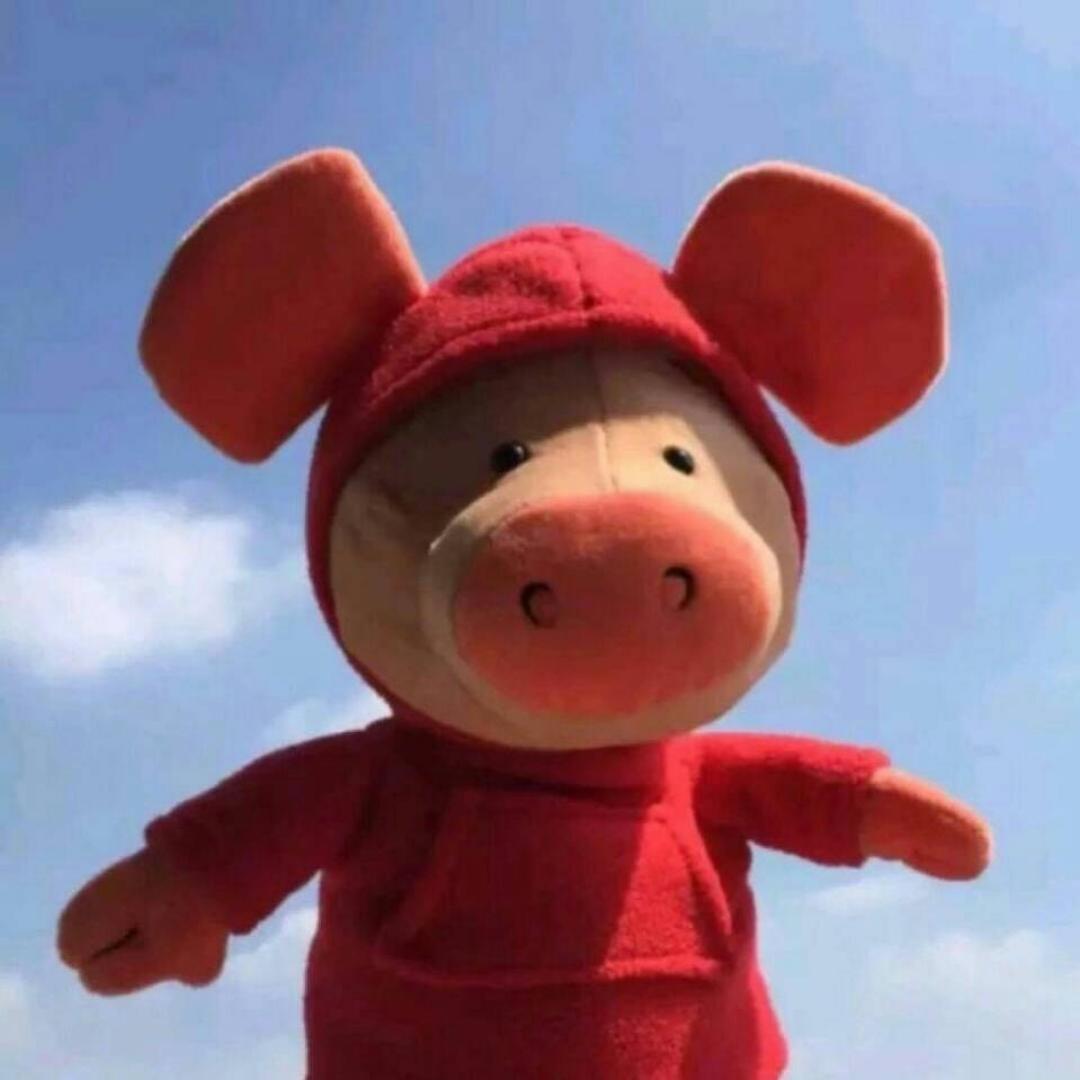 彪哥小厨神