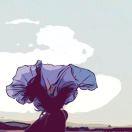 属老虎的小橙子