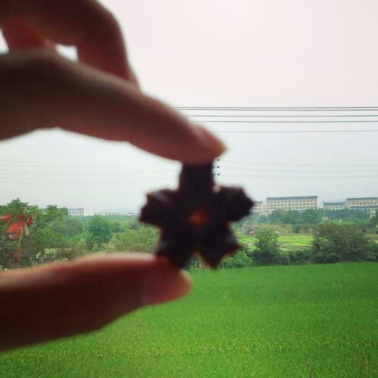 【麦记手作】抹茶拿铁曲奇 美妙的碰撞