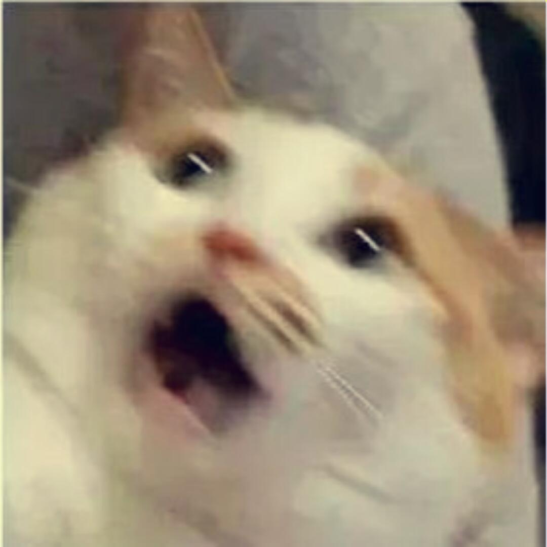 铺咯