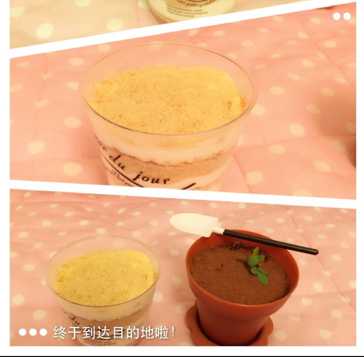 木糠杯——适合小白做的甜品