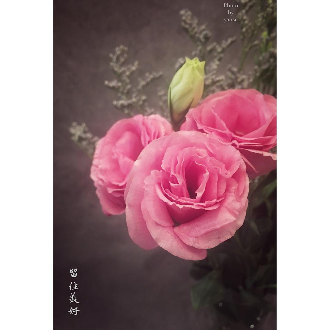 岁月静好