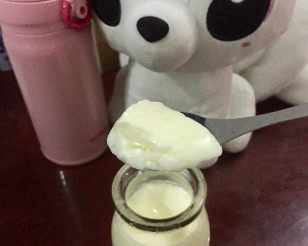 Homemade Yogurt自制酸奶（无需菌粉）的做法