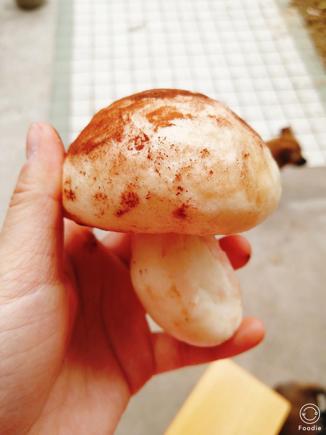 蘑菇包