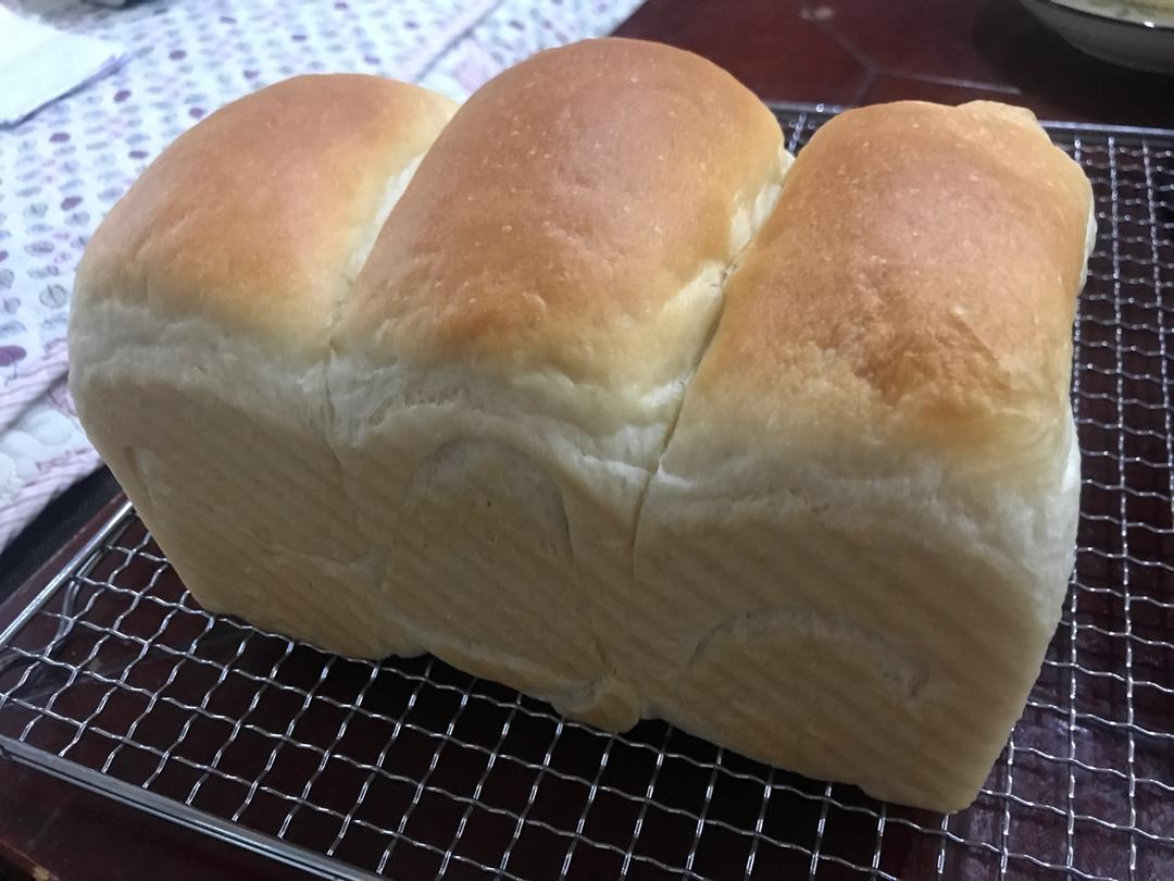 软到不知所措的牛奶卷