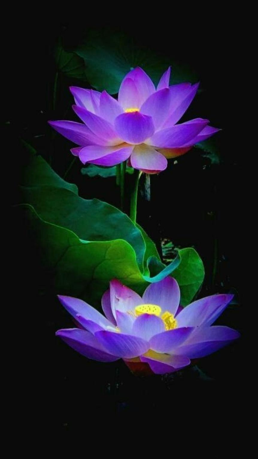 下厨房用户_meyub