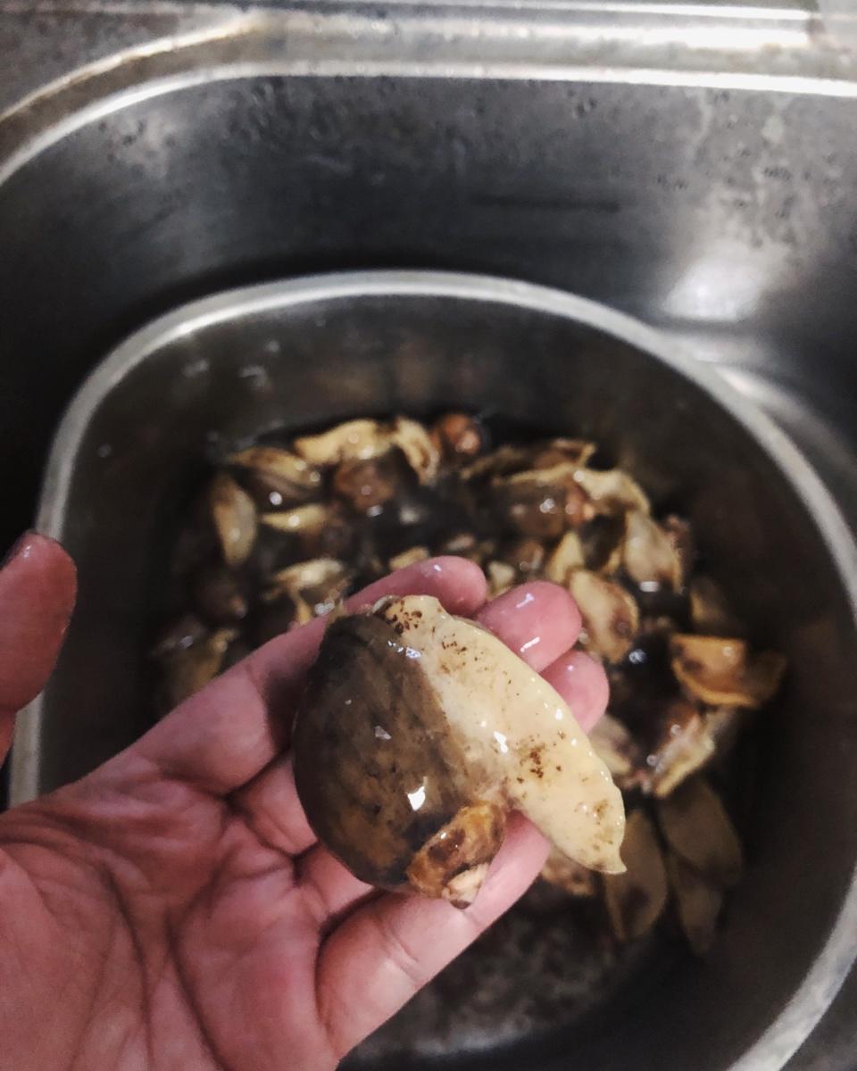 辣炒鲍螺（老婆脚）