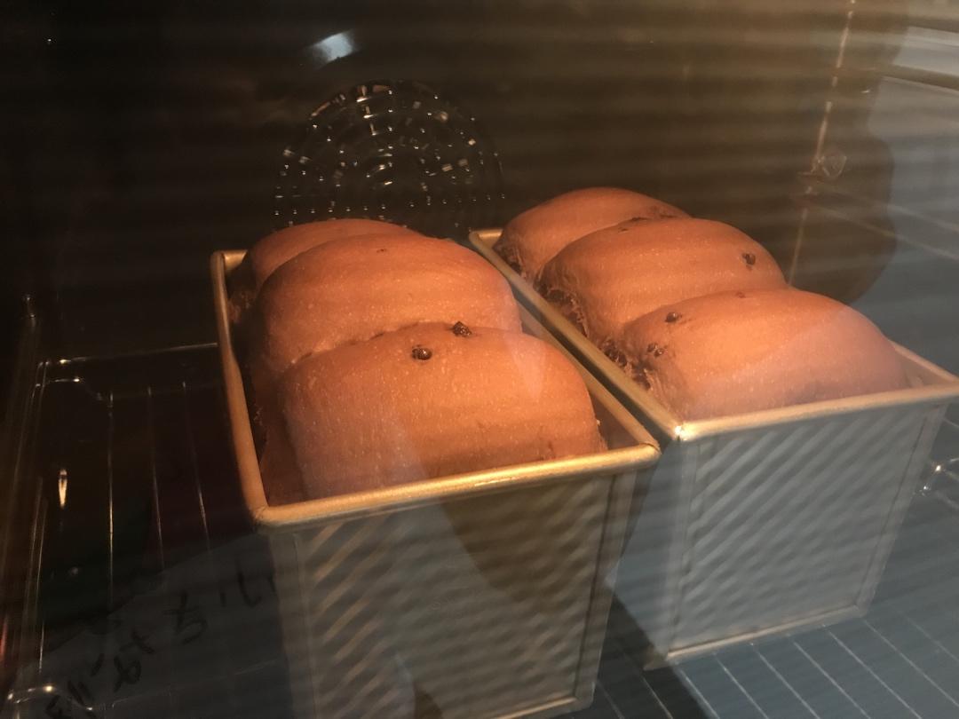 巧克力吐司（可可吐司）