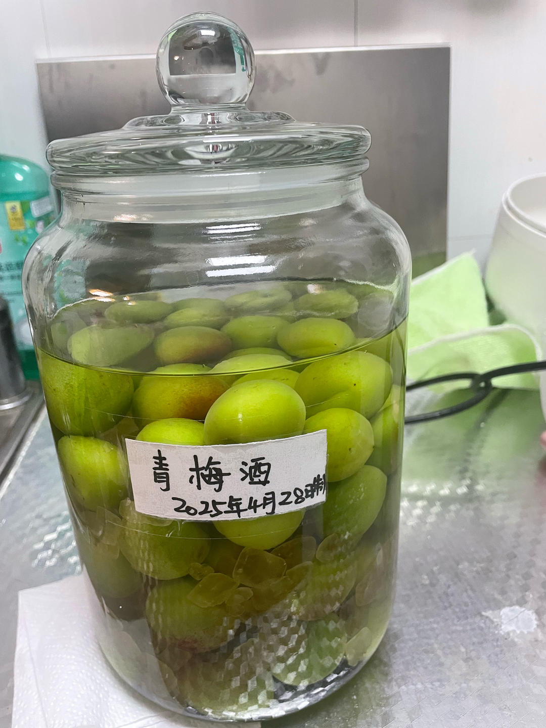 【青梅酒】梅子的沉醉时光（已填坑）