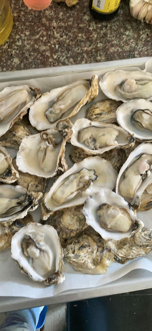 至鲜至嫩烤生蚝🦪(附：省力开蚝方法）
