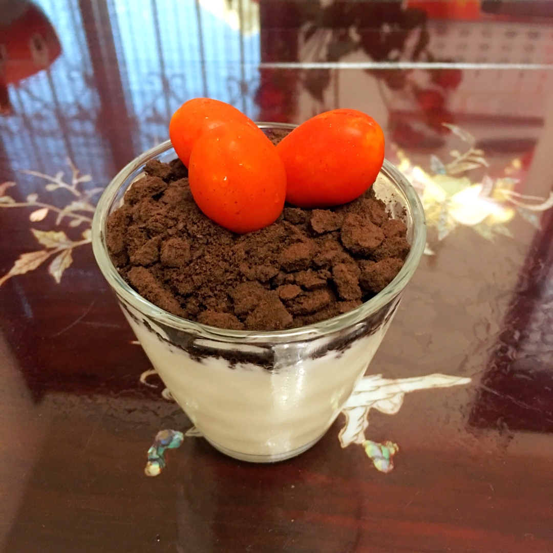酸奶盆栽