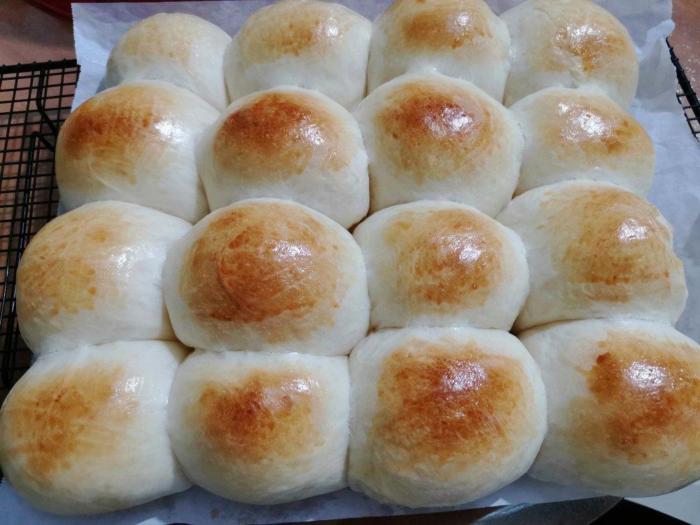 南瓜奶油小餐包（一次发酵）