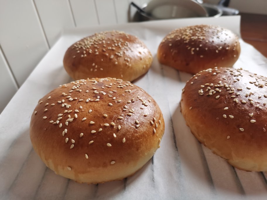 汉堡面包胚 Burger Buns