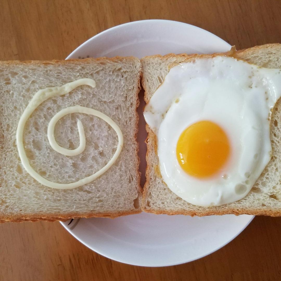 【熊记】太阳蛋