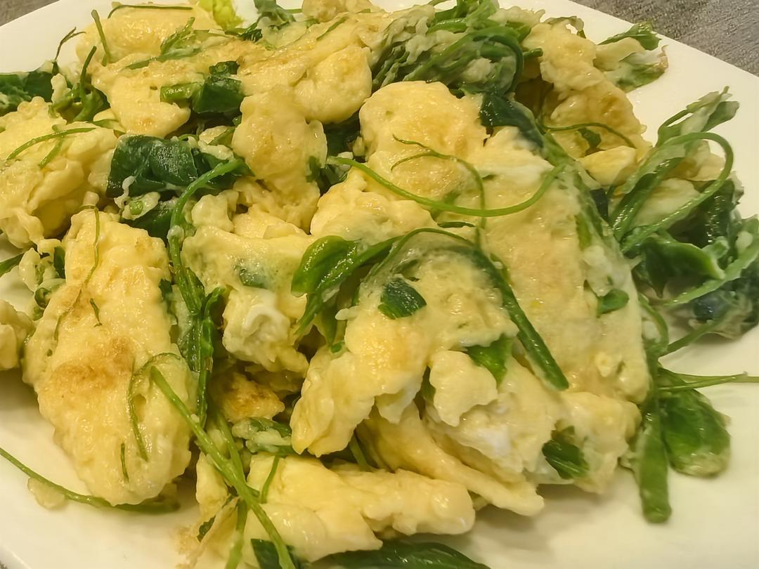 一身是宝的辣木叶炒鸡蛋-出乎意料的美味