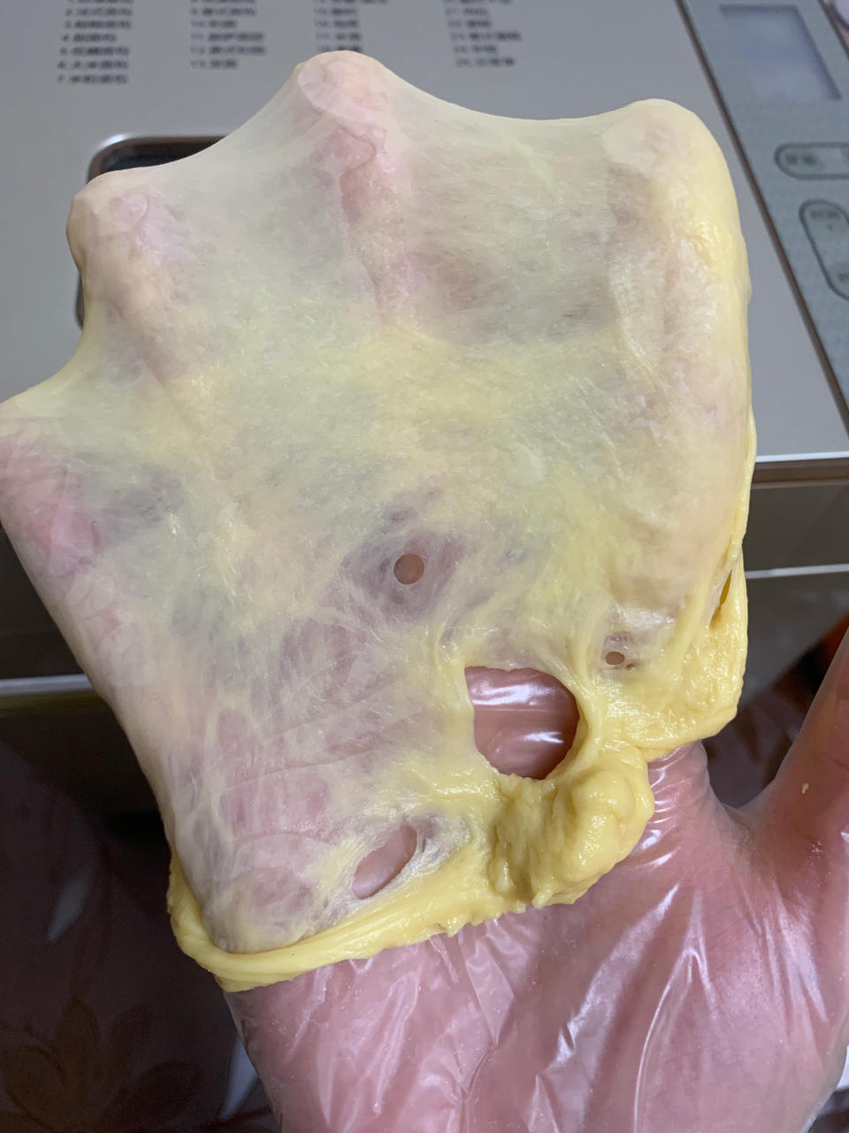 软到不知所措的牛奶卷