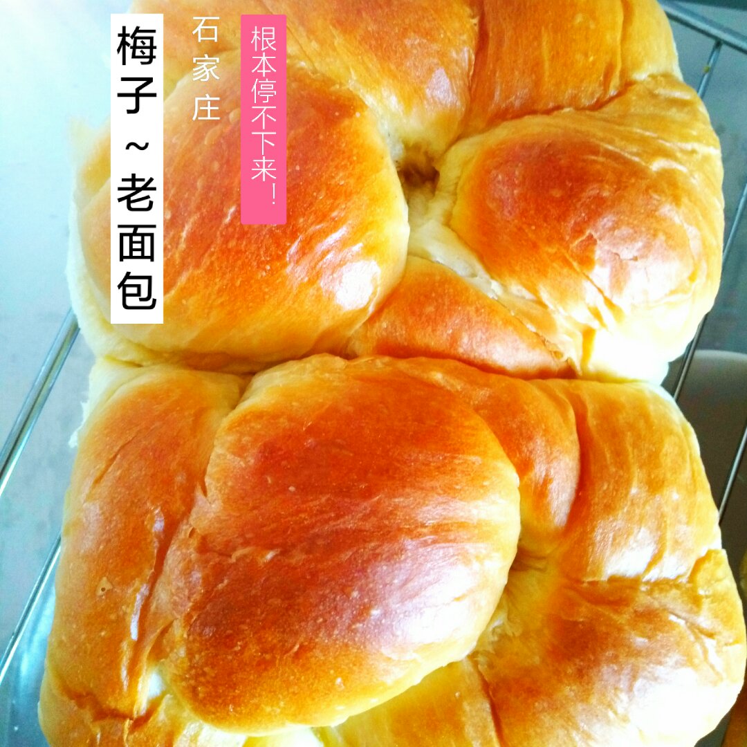 【全麦老式面包(中种）】——COUSS CO-6001出品