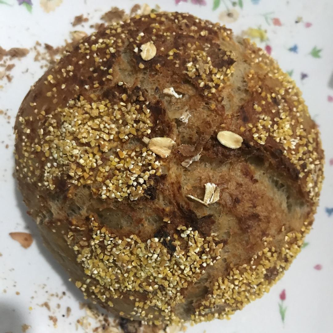 欧包/乡村面包-无油不用揉 No Knead Bread