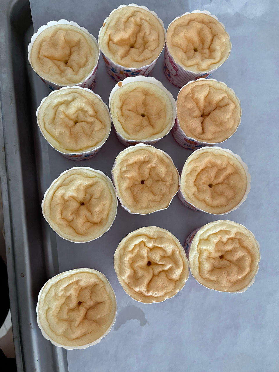 北海道（超级简单小白也行）